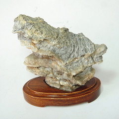 天然戈壁石观赏石 沙漠石 像形石 造型石 公鸡石
