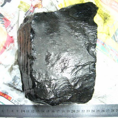 天然煤精煤玉 煤精煤晶原料 矿物岩石标本 教学标本