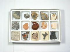 【浩宇石头行】化石标本套装15种天然化石 古生物化石标本收藏