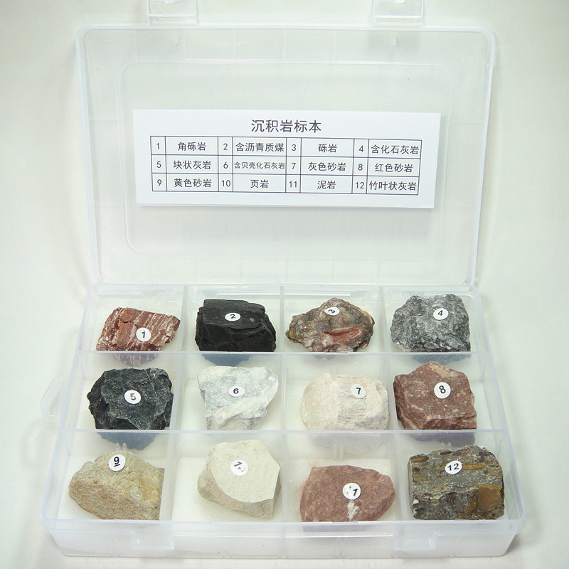 12个品种沉积岩岩石标本 地理教学岩石标本套装 学习收藏盒装标本