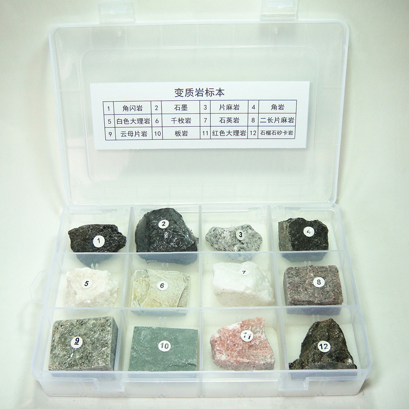 变质岩岩石标本 各种矿物岩石教学标本 12个品种岩石套装