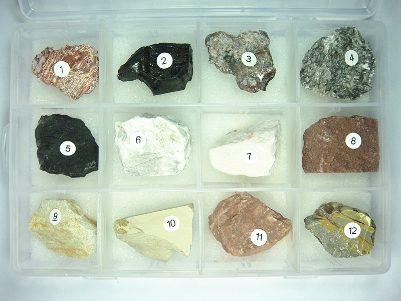 沉积岩标本12种沉积岩 岩石标本套装 各种沉积岩地质教学标本