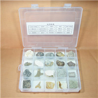 天然保真20种不同化石塑料盒套装教学标本 学校适用教学化石标本